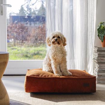 Hundekissen Cord - Designed by Lotte Ribbed  - terrakotta - Hundebett Bezug abnehmbar und waschbar